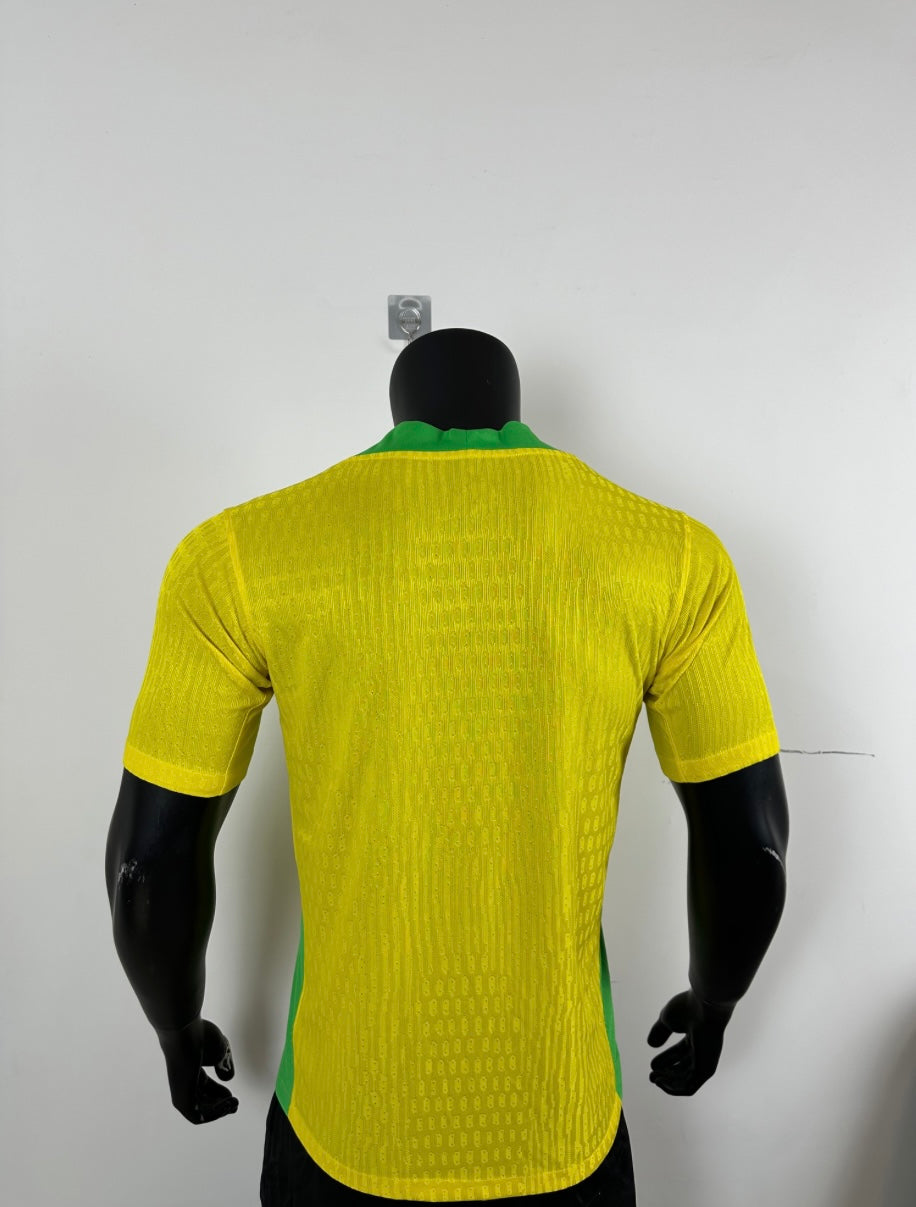 Brasil Local 2025