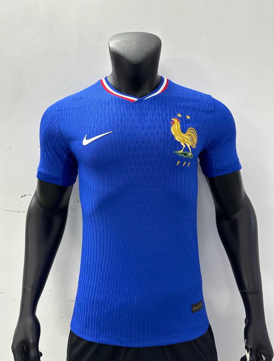 Francia Local 2024
